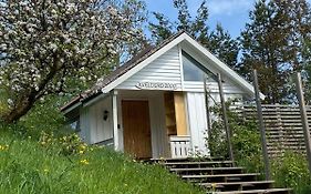 Small house near Kristiansand - Kveldsro